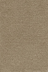 Ковролин AW Masquerade Mezza 37 фото 1 | FLOORDEALER